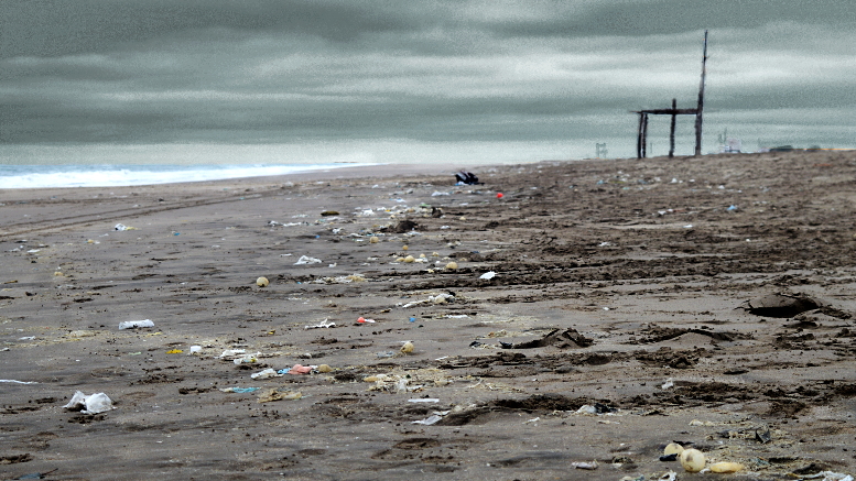 La investigación de la Facultad de Agronomía de la UBA estimó una contaminación de hasta 8 toneladas por plásticos en las playas de Villa Gesell hasta Mar Azul, en la costa de la provincia de Buenos Aires.