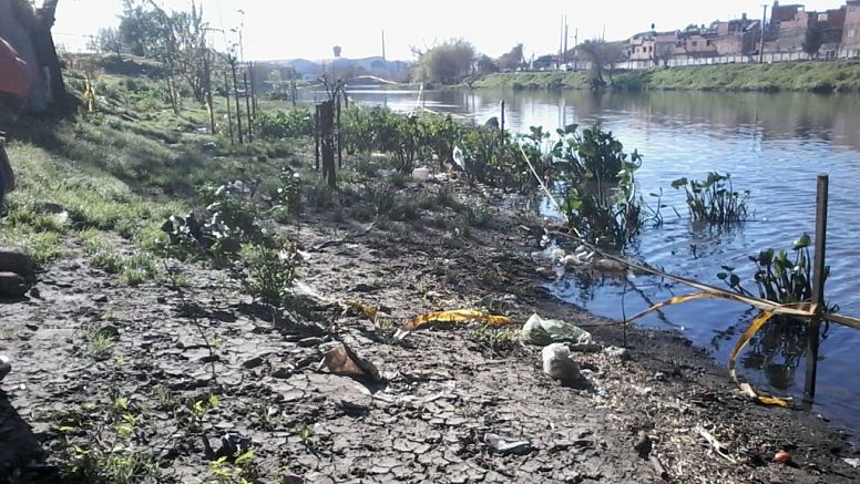 Fitoextracción Y Remediación De Suelos Contaminados Con Metales Pesados ...