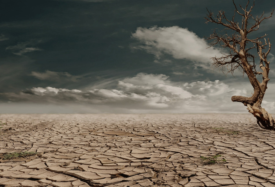 Una de los principales hallazgos del informe especial sobre cambio climático y tierra es que mejorar el manejo del suelo podría reducir significativamente las emisiones, evitar la aridez y la desertificación