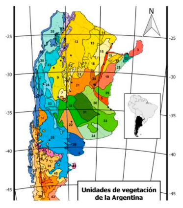 La Pampa Austral, indicada con el número 34, se ubica al sur de la provincia de Buenos Aires. Sus pastizales son más diversos y frágiles que los de otras regiones. Fuente: Oyarzabal et al. 2018