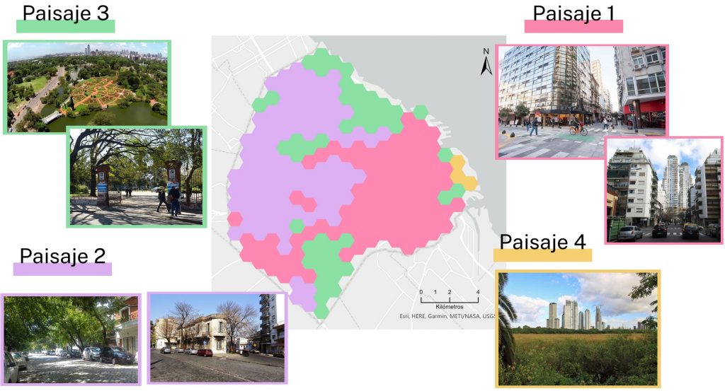 Galansino agrupó las diferentes zonas de la ciudad a partir de características vinculadas al porcentaje del paisaje que ocupa la vegetación, el área promedio de los parches vegetados y la densidad de los mismos, entre otras