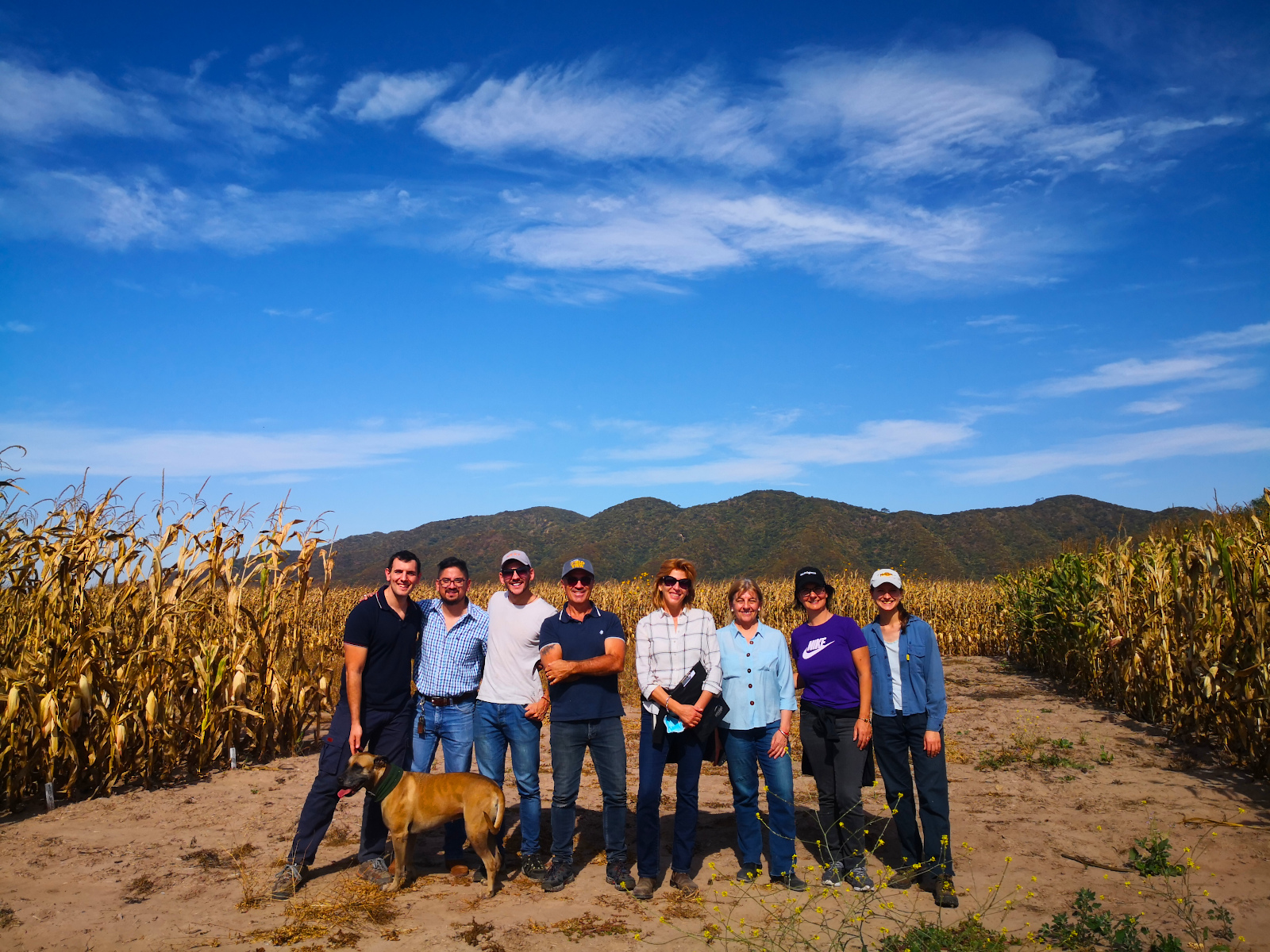 Maddonni y su grupo de investigación visitan los experimentos de la Red de Ultra Baja Densidad de Maíz en la Estación Experimental Agropecuaria INTA Cerrillos, provincia de Salta