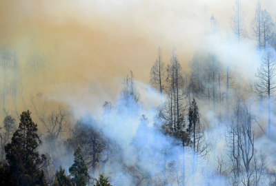 Los incendios representan una de las mayores amenazas para los bosques nativos en la Argentina. Foto: rionegro.com.ar