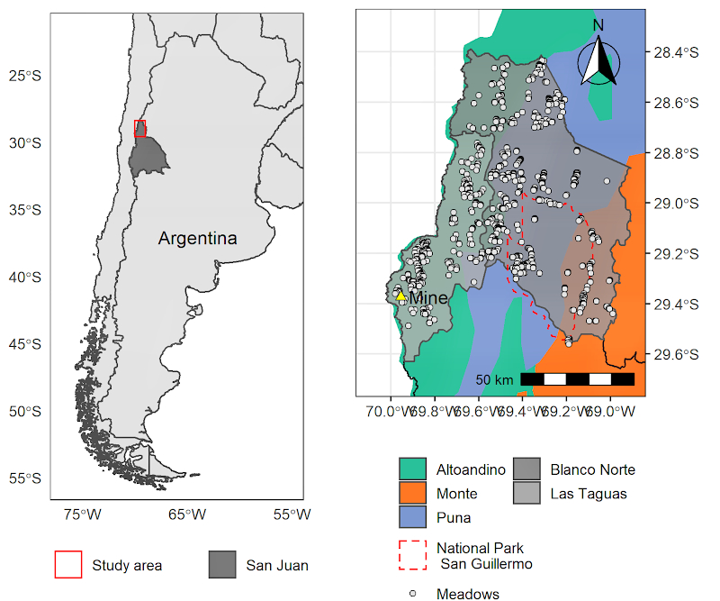 Detalle de la ubicación del área estudiada dentro de la República Argentina y de la ubicación de las 736 vegas detectadas dentro de la provincia de San Juan