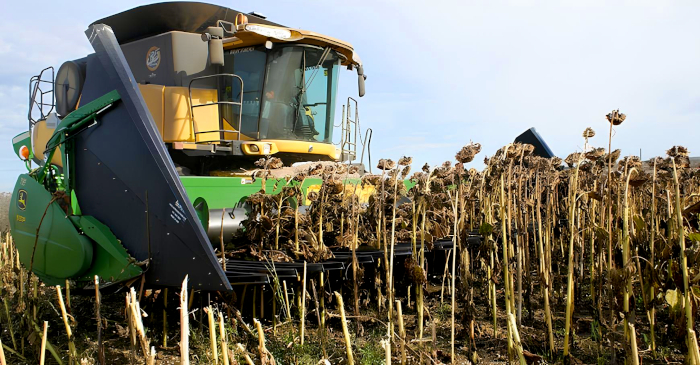 "A nivel país, el girasol permite una intensificación más diversificada de la agricultura y una mayor estabilidad frente a algunos factores ambientales o de mercado" (J. Mercau) "A nivel país, el girasol permite una intensificación más diversificada de la agricultura y una mayor estabilidad frente a algunos factores ambientales o de mercado" (J. Mercau)