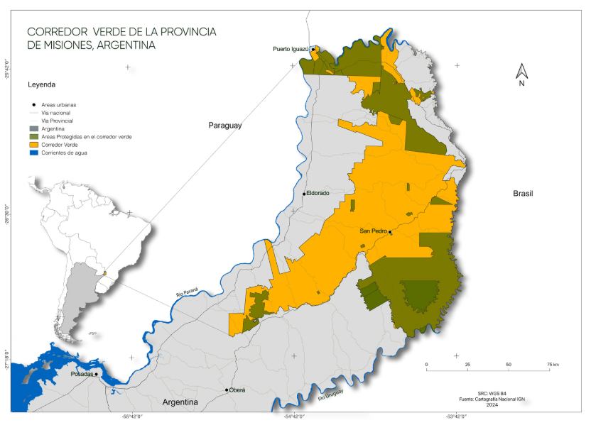 El Corredor Verde abarca un área aproximada de 1.100.000 hectáreas, casi 37% del área total de Misiones. Imagen: Polo Perdomo