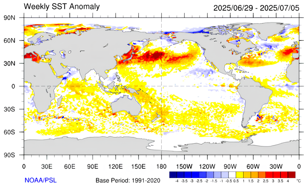 Promedio de las variaciones de las temperaturas de las aguas superficiales (SST) en la zona central del Océano Pacífico Ecuatorial entre el 29 de junio y el 05 de julio de 2025. Fuente: NOAA Promedio de las variaciones de las temperaturas de las aguas superficiales (SST) en la zona central del Océano Pacífico Ecuatorial entre el 29 de junio y el 05 de julio de 2025. Fuente: NOAA