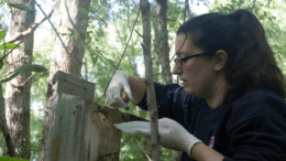 Imágenes: gentileza INTA Delta