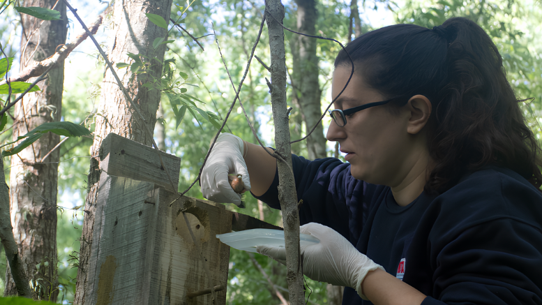 Imágenes: gentileza INTA Delta