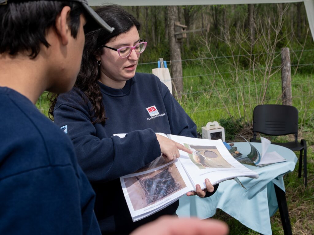 Cappelletti mencionó más ejemplos de control biológico con aves. “Se usan cajas nidos para atraer lechuzas que se alimentan de roedores. También se instalan plataformas con alimento para atraer aves rapaces”