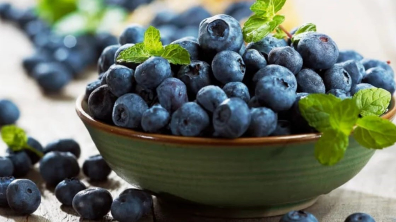 Los arándanos ganaron protagonismo en todo el mundo por sus propiedades nutricionales Los arándanos ganaron protagonismo en todo el mundo por sus propiedades nutricionales