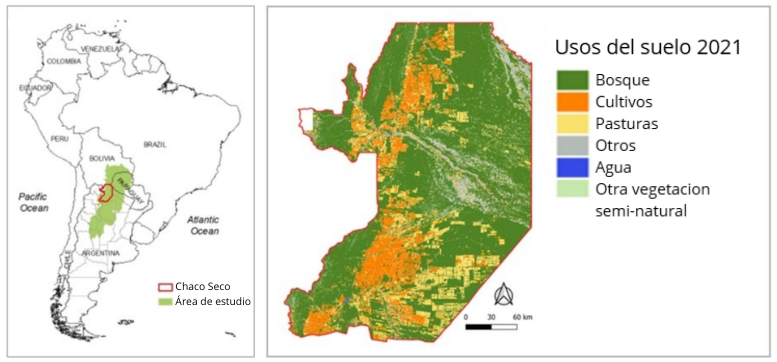 “La mayoría de las comunidades de la zona no tienen una tenencia segura de la tierra. Entonces, también existen conflictos y desalojos” (M. Vallejos) “La mayoría de las comunidades de la zona no tienen una tenencia segura de la tierra. Entonces, también existen conflictos y desalojos” (M. Vallejos)
